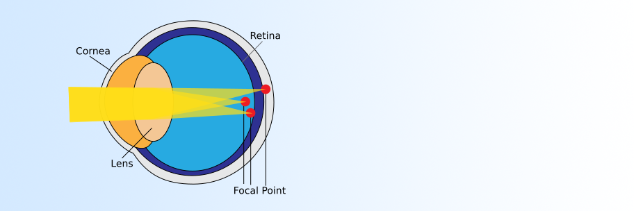 speciality-background