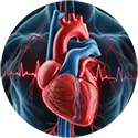 מחלות שריר הלב