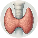 טיפול בבלוטת התריס